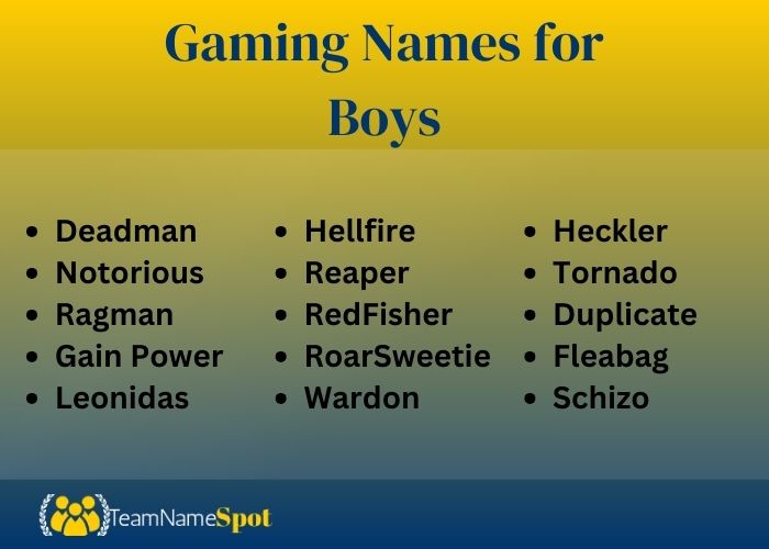 Gaming Names for Boys