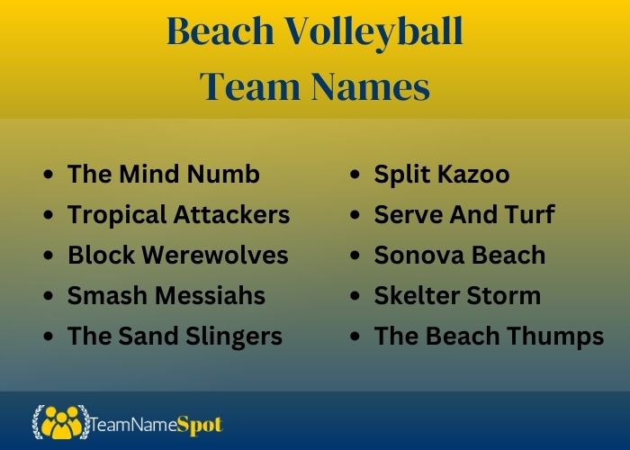 Beach Volleyball Team Names