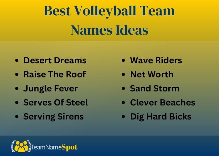 Best Volleyball Team Names 