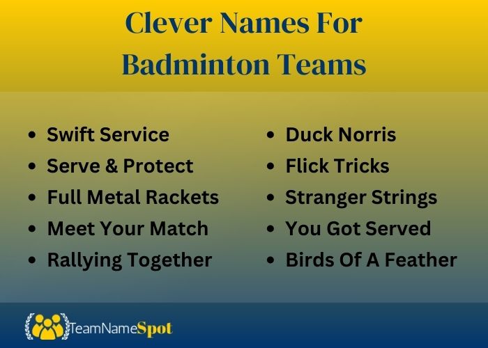 Clever Names For Badminton Teams