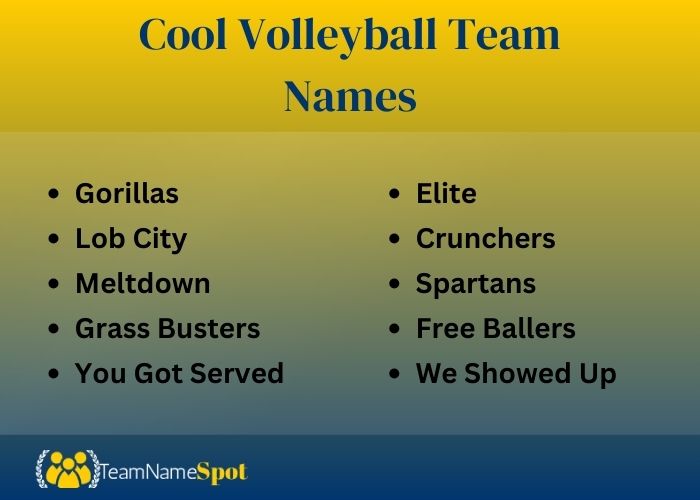 Cool Volleyball Team Names
