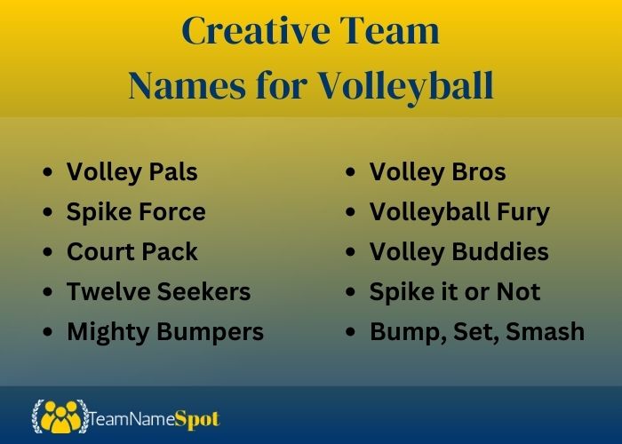 Creative Team Names for Volleyball