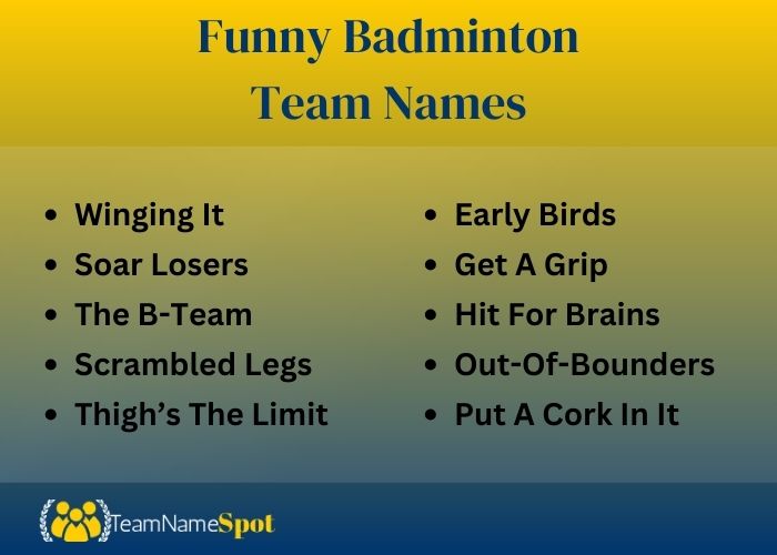 Funny Badminton Team Names