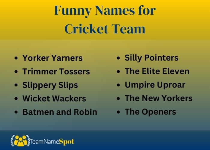 Funny Names for Cricket Team