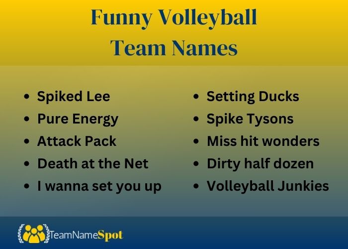 Funny Volleyball Team Names