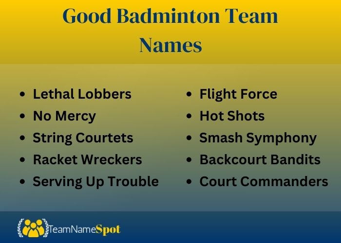 Good Badminton Team Names