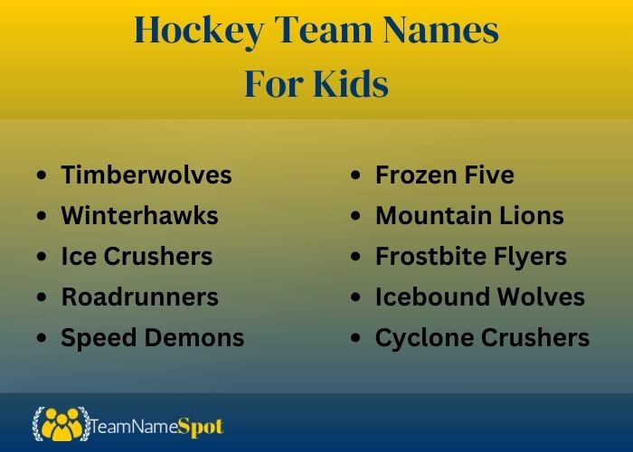 Hockey Team Names For Kids