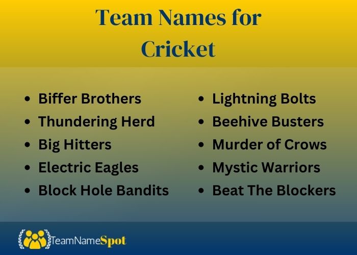 Team Names for Cricket