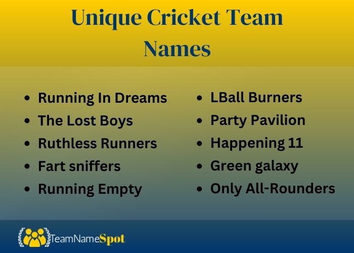 Unique Cricket Team Names