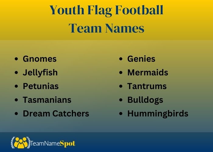 Youth Flag Football Team Names