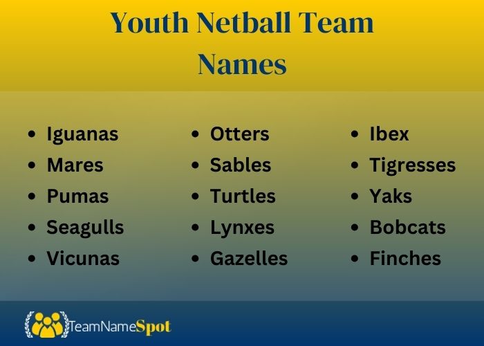 Youth Netball Team Names