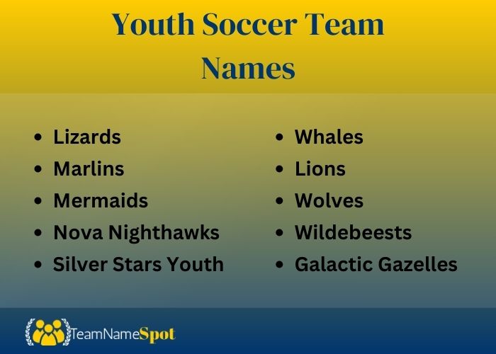 Youth Soccer Team Names