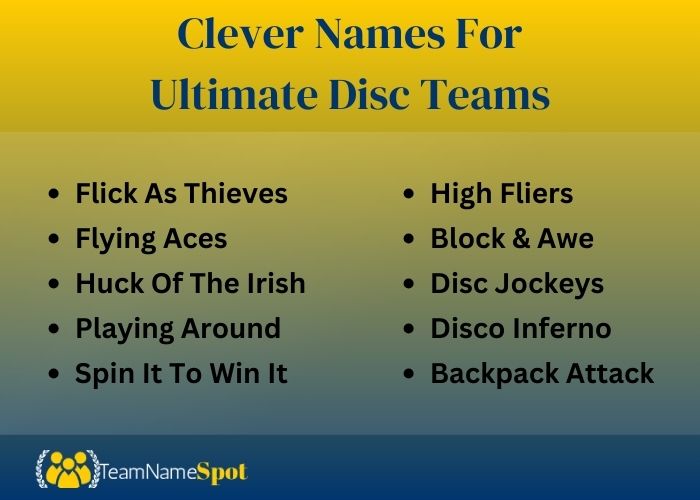 Clever Names For Ultimate Disc Teams