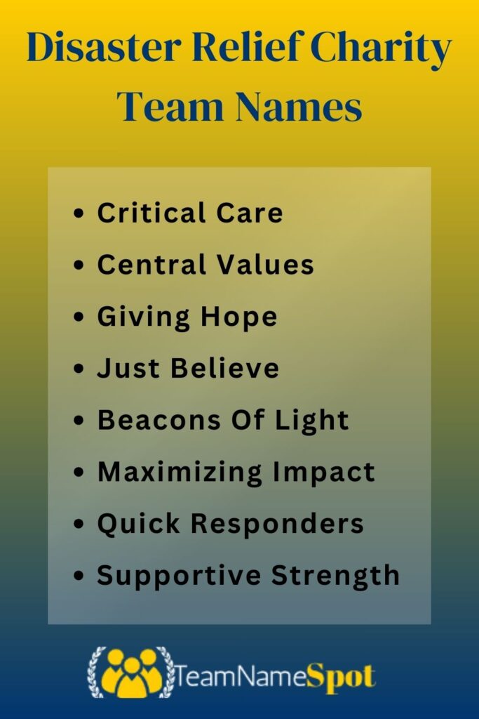 Disaster Relief Charity Team Names