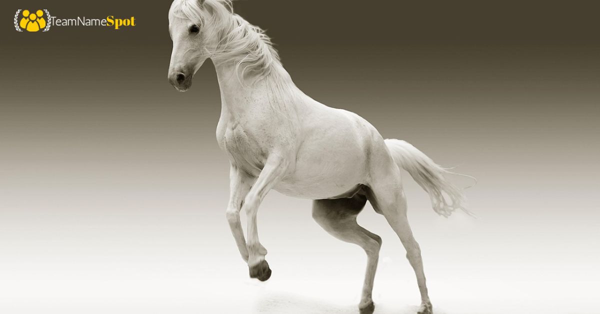 Female Horse Names