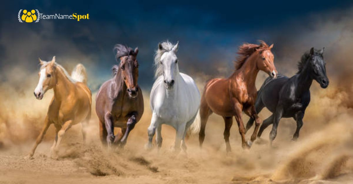 horse names